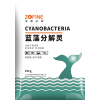 蓝藻分解灵