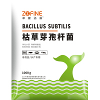 枯草芽孢杆菌